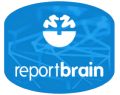 report brain-2